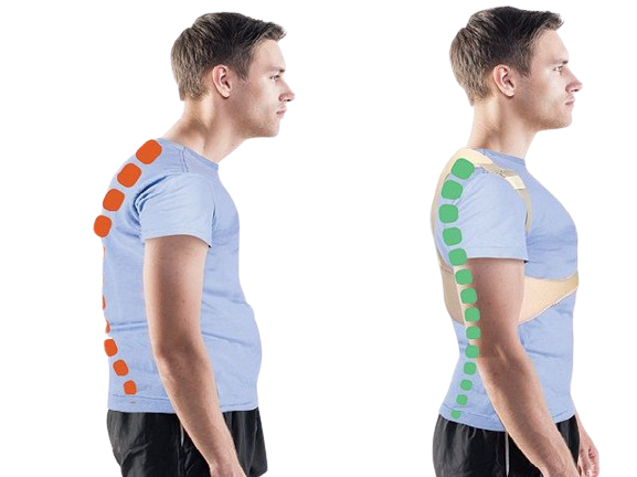 1704188648-how-do-posture-supports-work-removebg-preview.webp__PID:4cc01bc1-7cea-46b2-8cff-54429395ab7a